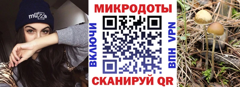 Галлюциногенные грибы Cubensis  Купить  Верхний Тагил 